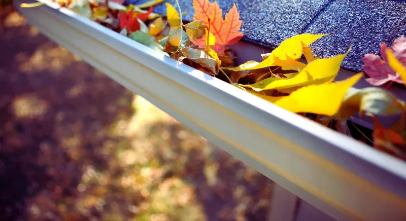 Autumn leaves blocking a household rainwater gutter